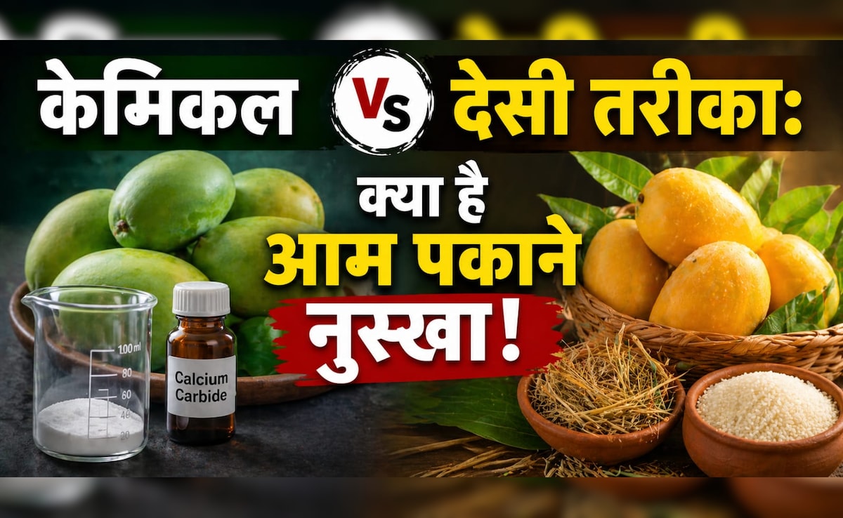 ​Natural Mango Ripening Tips: बिना केमिकल आम पकाने का देसी नुस्खा