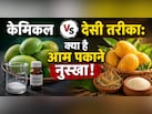 ​Natural Mango Ripening Tips: बिना केमिकल आम पकाने का देसी नुस्खा
