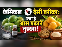 ​Natural Mango Ripening Tips: बिना केमिकल आम पकाने का देसी नुस्खा