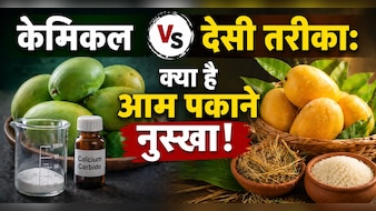 ​Natural Mango Ripening Tips: बिना केमिकल आम पकाने का देसी नुस्खा
