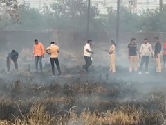 महाराष्ट्र के वसई में फिर मिला नरकंकाल, खाली प्लॉट पर बिखरी हुई मिलीं मानव खोपड़ी और हड्डियां