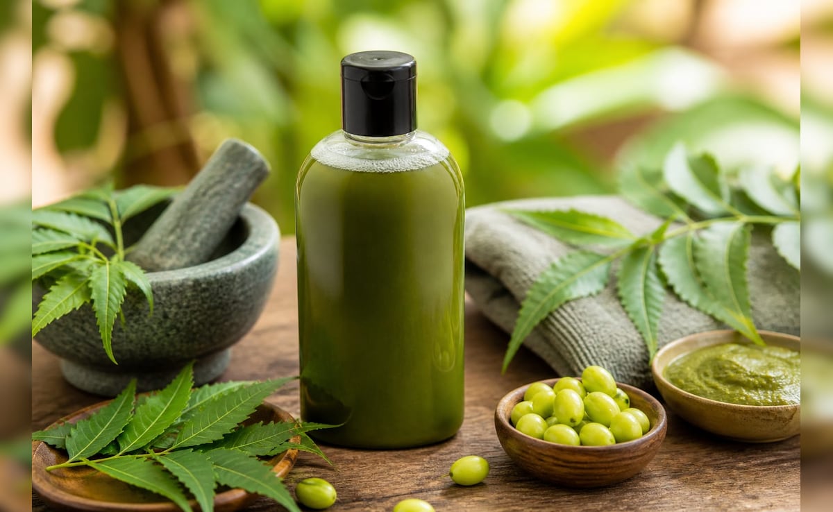 Neem Shampoo At Home: डैंड्रफ और खुजली से राहत पाने के लिए घर पर खुद तैयार करें नीम की पत्तियों से बना शैम्पू
