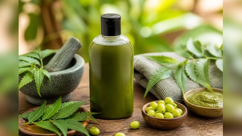 Neem Shampoo At Home: डैंड्रफ और खुजली से राहत पाने के लिए घर पर खुद तैयार करें नीम की पत्तियों से बना शैम्पू