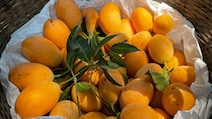 Indians Are Choosing Mangoes Over Paneer This Summer, Reveals Handpickd App