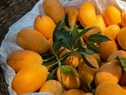 Can Eating Too Much Fruit Raise Blood Sugar? Where Mangoes Actually Fit Into A Healthy Diet