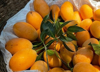 Can Eating Too Much Fruit Raise Blood Sugar? Where Mangoes Actually Fit Into A Healthy Diet