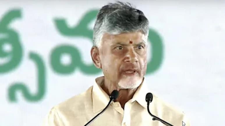Chandrababu Naidu Announces Rs 30,000-Rs 40,000 Cash Incentives In Population Push: Report