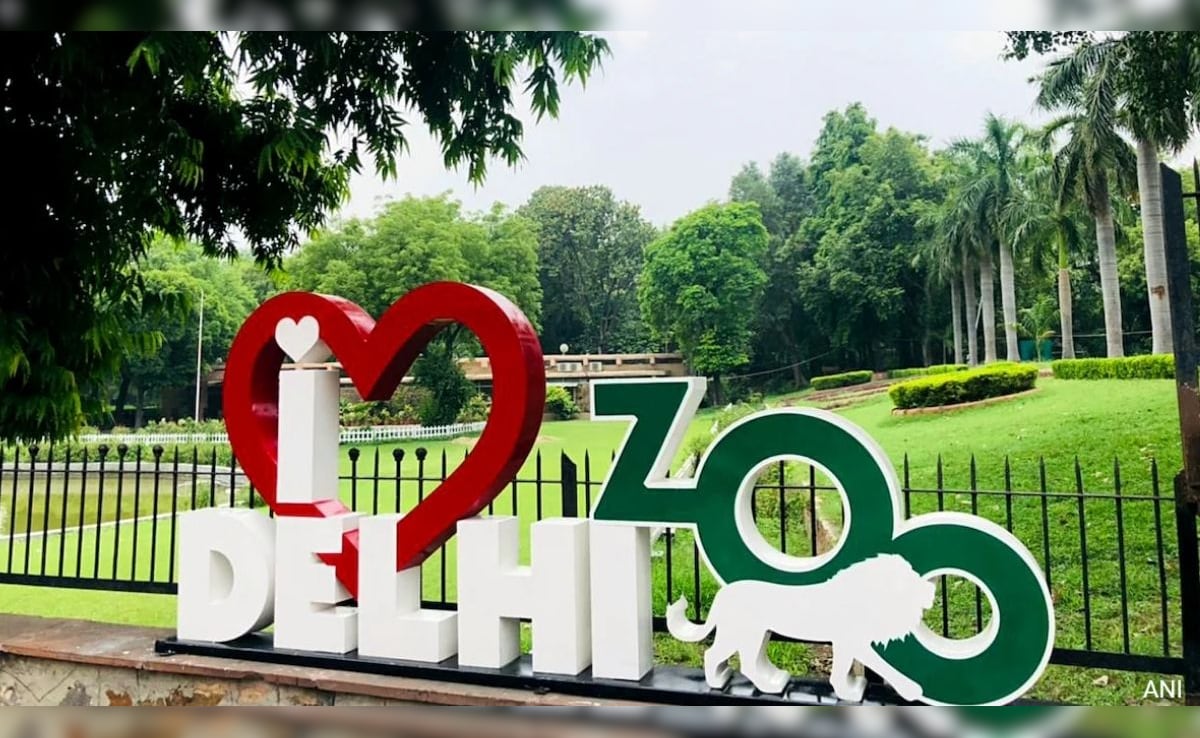 Delhi Zoo: दिल्ली जू में अब एक टैप से करें जंगल की सैर, इस मोबाइल ऐप से घूमना हो जाएगा आसान