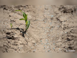 Farmers Turn to Human Urine After Fertiliser Crunch From Iran War