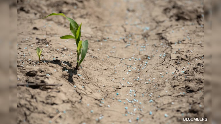 Farmers Turn to Human Urine After Fertiliser Crunch From Iran War