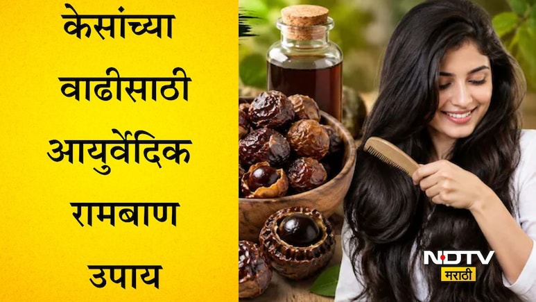 Natural Shampoo For Hair Fall: केमिकलवाला शॅम्पू सोडा, केसांसाठी हे फळ वापरा! कोंडा, केसगळती होईल पटकन कमी