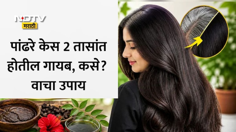 Chemical Free Hair Dye: पांढरे केस होतील 2 तासांत गायब, किचनमधील 3 गोष्टींमुळे तुम्हाला मिळतील काळेभोर-मऊ केस