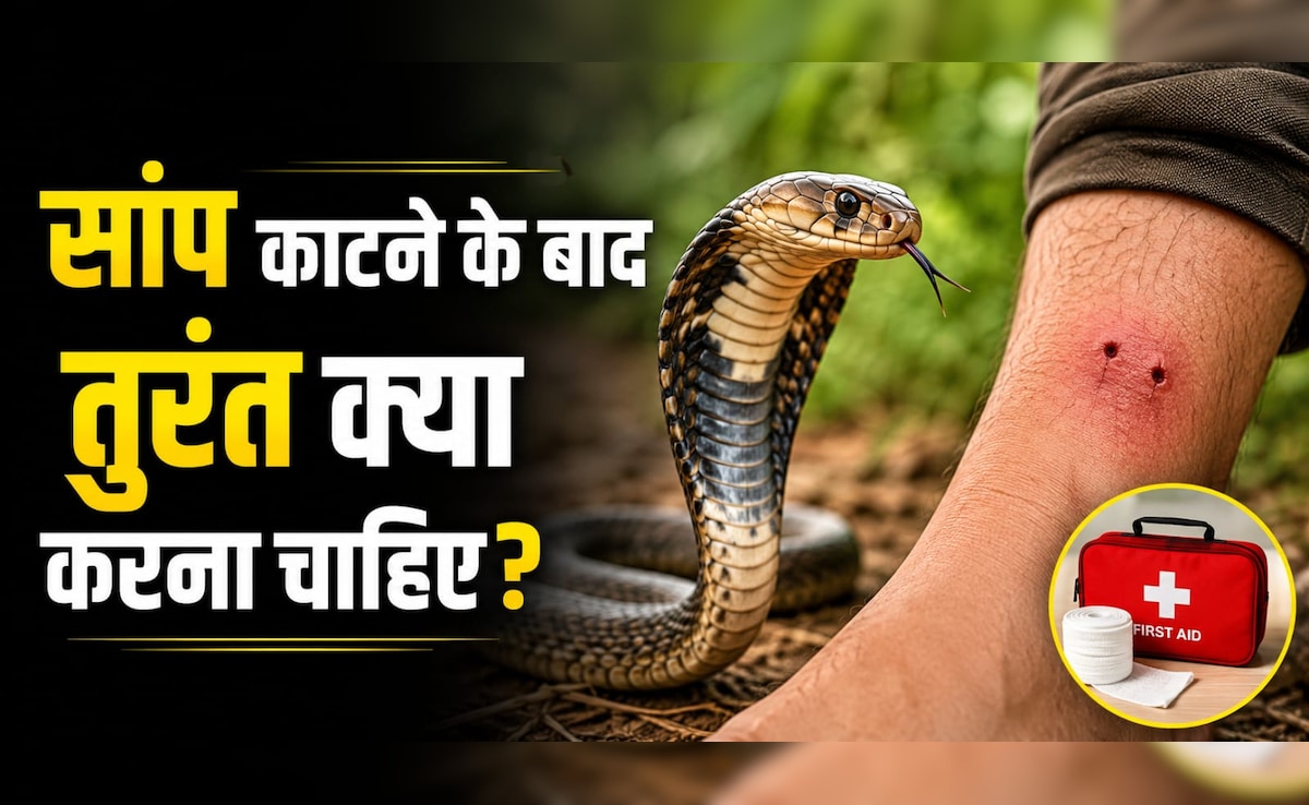 सांप काटने के बाद 10 मिनट की ये गलती बन सकती है मौत की वजह, एक्सपर्ट ने बताया सबसे पहले क्या करें