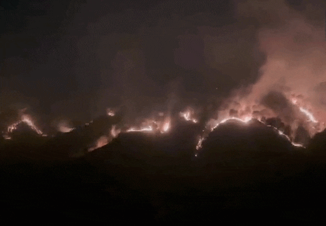 हिमाचल के जंगलों में भयानक आग, सोलन में ऊंची-ऊंची लपटें और धुएं का गुबार, VIDEO रोंगटे खड़े कर देगा