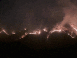 हिमाचल के जंगलों में भयानक आग, सोलन में ऊंची-ऊंची लपटें और धुएं का गुबार, VIDEO रोंगटे खड़े कर देगा