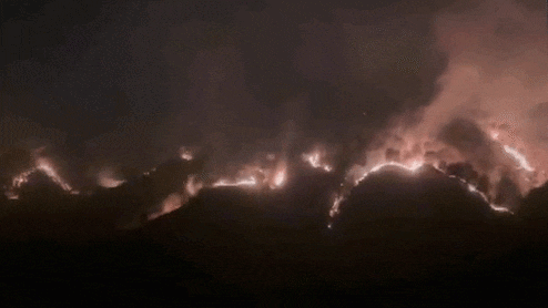 हिमाचल के जंगलों में भयानक आग, सोलन में ऊंची-ऊंची लपटें और धुएं का गुबार, VIDEO रोंगटे खड़े कर देगा