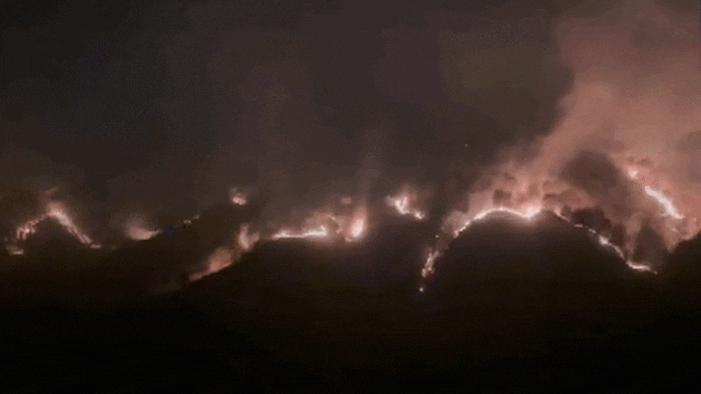 हिमाचल के जंगलों में भयानक आग, सोलन में ऊंची-ऊंची लपटें और धुएं का गुबार, VIDEO रोंगटे खड़े कर देगा