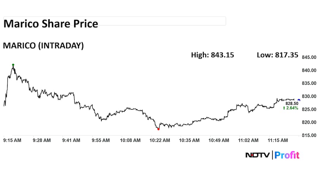 Marico Share Price Intraday