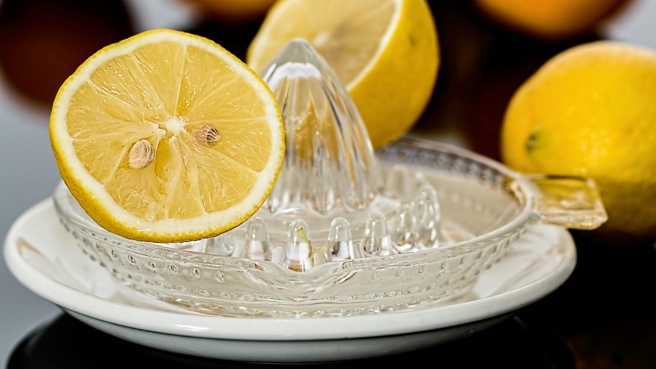 Best-selling stainless steel lemon squeezer for fresh nimbu pani in summer