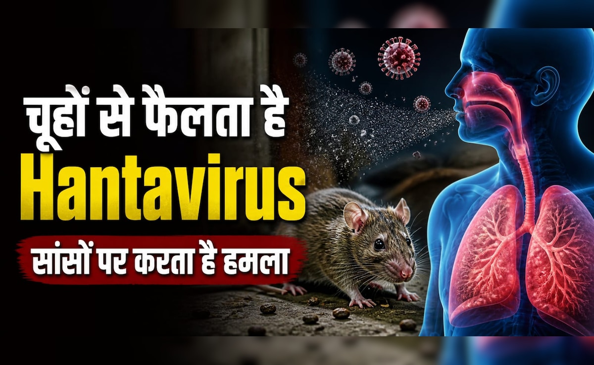 चूहों से फैलने वाला Hantavirus कितना खतरनाक? क्रूज शिप पर 3 लोगों की मौत