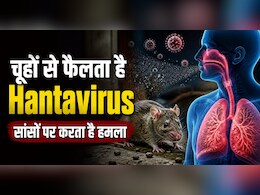 चूहों से फैलने वाला Hantavirus कितना खतरनाक? क्रूज शिप पर 3 लोगों की मौत