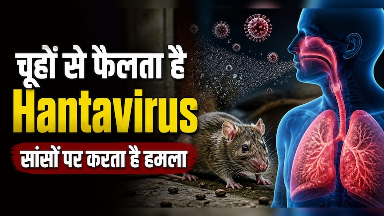 चूहों से फैलने वाला Hantavirus कितना खतरनाक? क्रूज शिप पर 3 लोगों की मौत