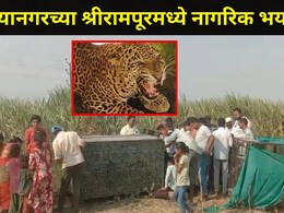 Ahilyanagar News : खंडाळा परिसरात नागरिकांची धडधड वाढली, 15 दिवसांपासून सुरु होता भयानक प्रकार, रात्रीही घबराट