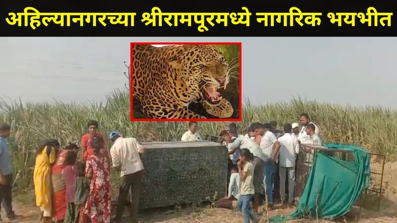 Ahilyanagar News : खंडाळा परिसरात नागरिकांची धडधड वाढली, 15 दिवसांपासून मानवी वस्तीत सुरु होता भयानक प्रकार