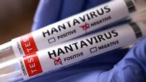 How Aerosolised Rodent Droppings Spread Hantavirus Infection Indoors
