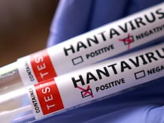 Hantavirus Ship Nears Tenerife: 