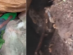 Odisha Boy Gets Head Stuck In Crevice, Finds Snake Staring At Him