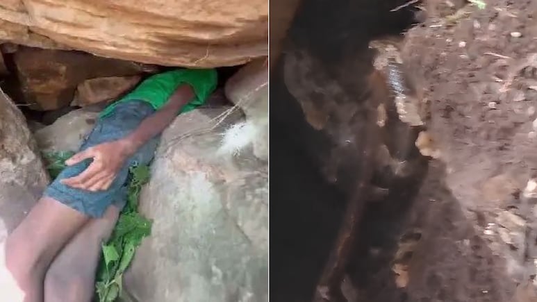 Odisha Boy Gets Head Stuck In Crevice, Finds Snake Staring At Him