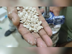 In 1st Captagon Bust, 227 Kilograms Of "Jihadi Drug" Worth Rs 182 Crore Seized