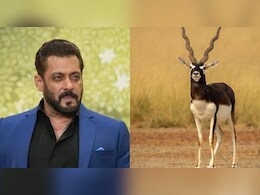 काले ह&zwj;िरण श&zwj;िकार केस में सलमान खान के वकील ने हाई कोर्ट से मांगा समय, अब 13 जुलाई को होगी सुनवाई
