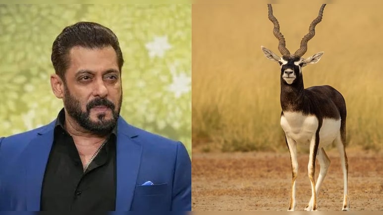 काले ह&zwj;िरण श&zwj;िकार केस में सलमान खान के वकील ने हाई कोर्ट से मांगा समय, अब 13 जुलाई को होगी सुनवाई