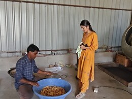 &nbsp;अब केला उत्पादक किसान बनाएंगे चिप्स, &nbsp;लाखों का पैकेज ठुकरा कर किसान की बेटी ने शुरू किया चिप्स स्टार्टअप