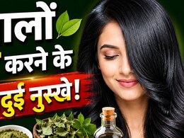 बिना डाई के सफेद बाल होंगे नेचुरली काले? जान लीजिए 3 असरदार होम्योपैथी नुस्खे और इस्तेमाल करने का तरीका