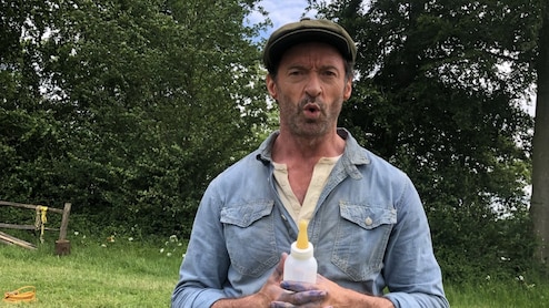 The Sheep Detectives X Reviews: 'Adorable Whodunit' &mdash; Hugh Jackman Starrer Impresses Early Audiences