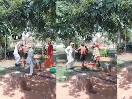 छतरपुर: चंदा में दो क्विंटल गेहूं न देने पर परिवार को पीटा: दबगों ने 6 लोगों पर लाठी-डंडों और पत्थरों से किया हमला, सभी घायल
