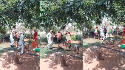 MP: चंदा में दो क्विंटल गेहूं न देने पर परिवार को पीटा: दबगों ने 6 लोगों पर लाठी-डंडों और पत्थरों से किया हमला
