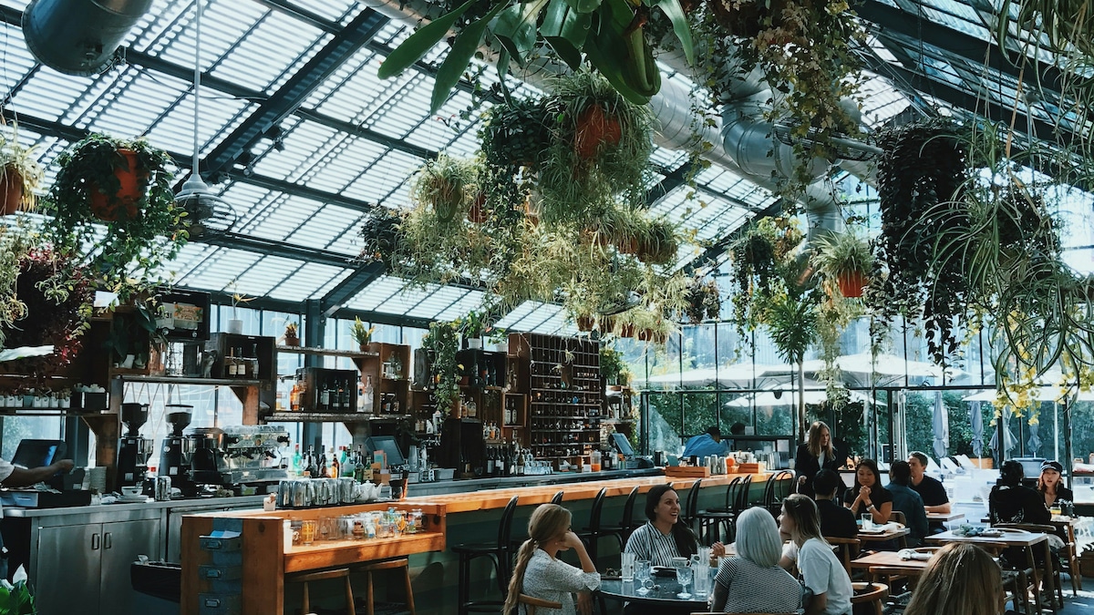 Delhi NCRs Best New Restaurant Openings To Try In May-June 2026