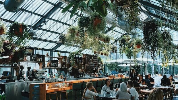 Delhi NCR's Best New Restaurant Openings To Try In May-June 2026