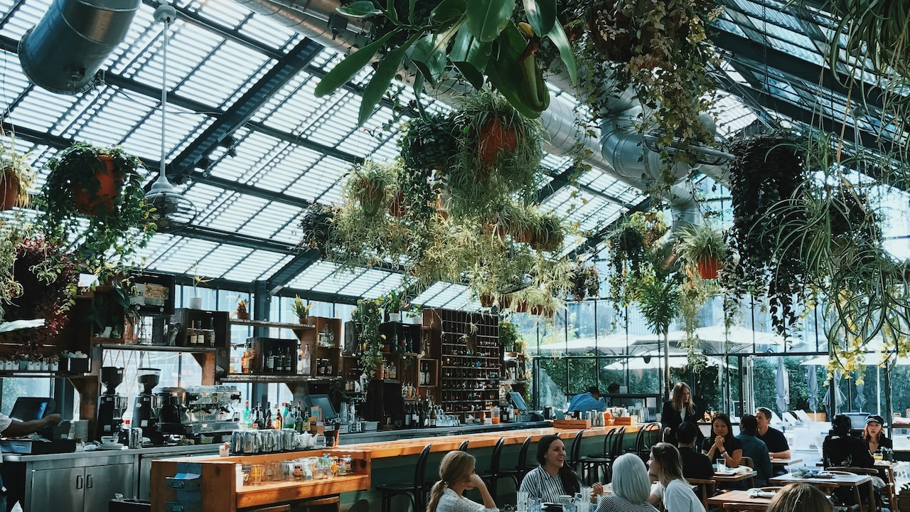 Delhi NCR's Best New Restaurant Openings To Try In May-June 2026
