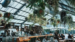 Delhi NCR's Best New Restaurant Openings To Try In May-June 2026
