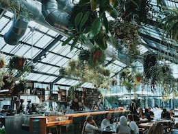 Delhi NCR's Best New Restaurant Openings To Try In May-June 2026