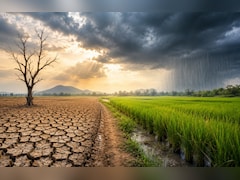 El Nino Scare? IMD Forecasts Below-Normal Monsoon Rainfall For August
