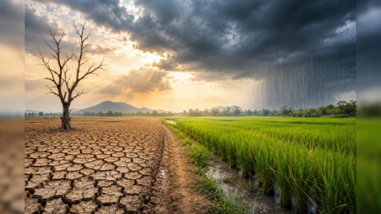 El Nino Scare? IMD Forecasts Below-Normal Monsoon Rainfall For August