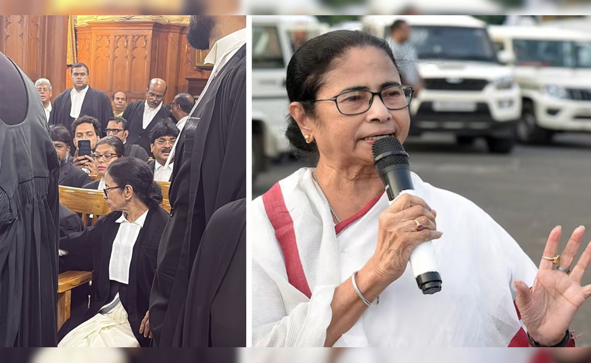 चुनाव में हार के बाद वकालत करती दिखीं ममता बनर्जी, इस कॉलेज से की थी लॉ की पढ़ाई