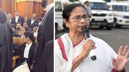 चुनाव में हार के बाद वकालत करती दिखीं ममता बनर्जी, इस कॉलेज से की थी लॉ की पढ़ाई