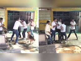 लखनऊ में बिजली चोरी पकड़ने गई टीम पर हमला:जूनियर इंजीनियर पर कुत्ता छोड़कर किया जख्मी